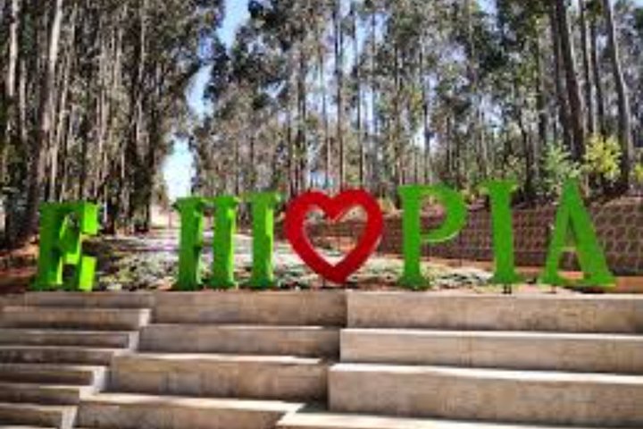 Explores the Heart of Addis Ababa city tour
