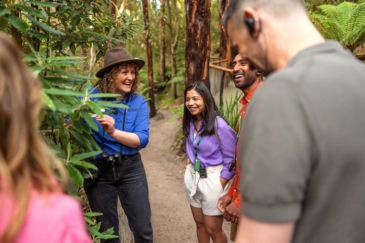 Walk with Wildlife: Guided Tour in Great Ocean Road