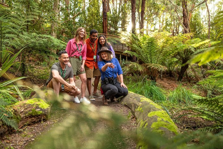 Walk with Wildlife: Guided Tour in Great Ocean Road