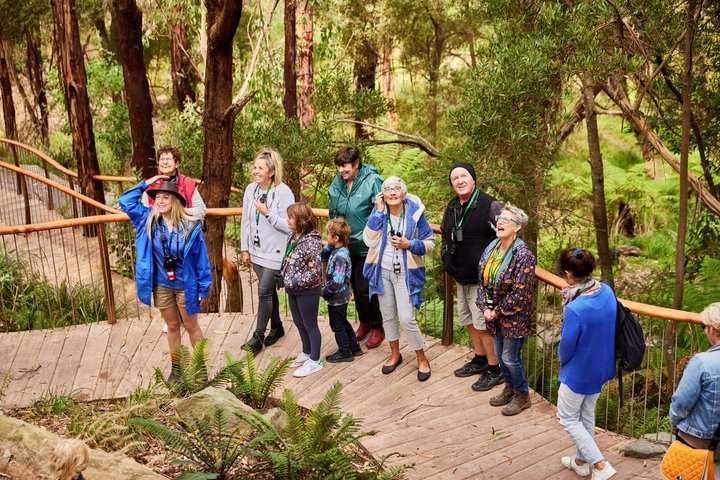 Walk with Wildlife: Guided Tour in Great Ocean Road