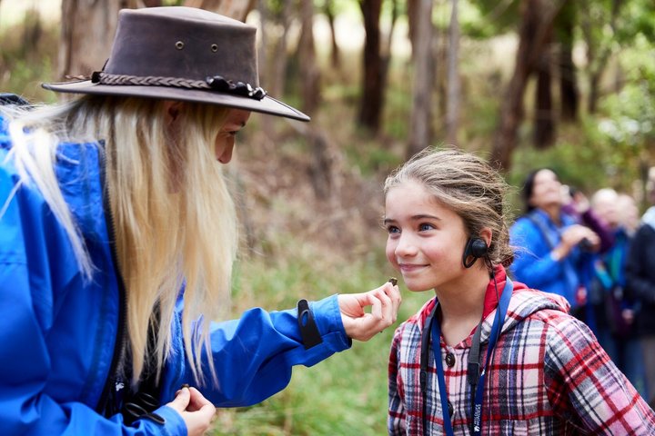 Walk with Wildlife: Guided Tour in Great Ocean Road