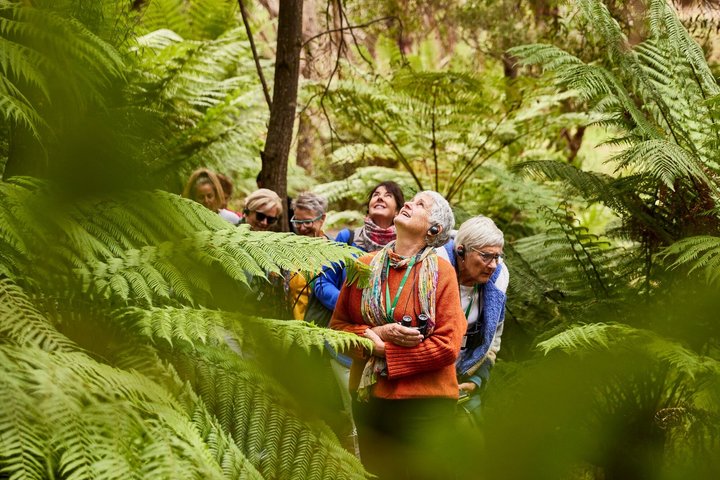 Walk with Wildlife: Guided Tour in Great Ocean Road