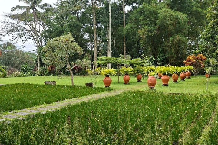 Coffee Plantation Hotel Tour at MesaStila Resort fr Semarang