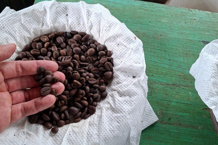 Coffee Plantation Hotel Tour at MesaStila Resort fr Semarang