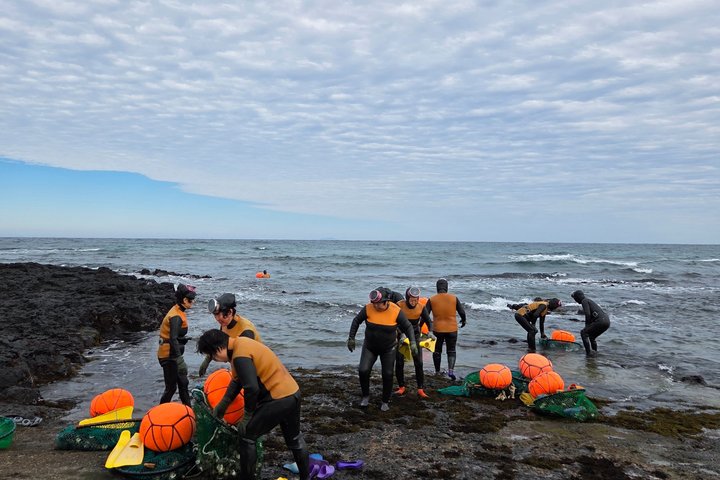 Jeju Private Taxi Tour with English Speaking Guide & Driver