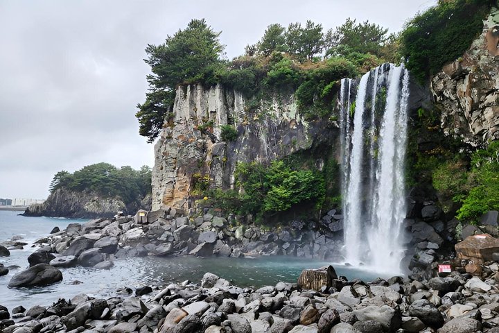 Jeju Private Taxi Tour with English Speaking Guide & Driver