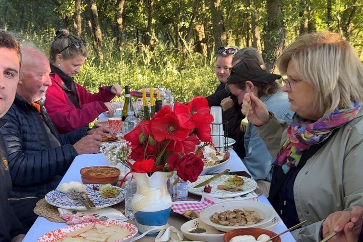 Truffle hunting with tasting in the woods