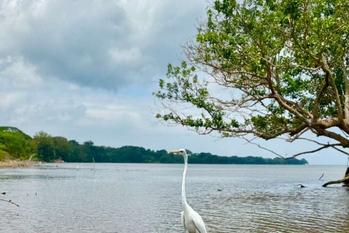 Ometepe Island Tour
