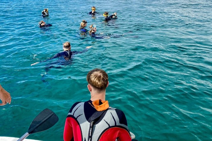 Boat Tour with Snorkeling, Slide, Lunch and Pick Up