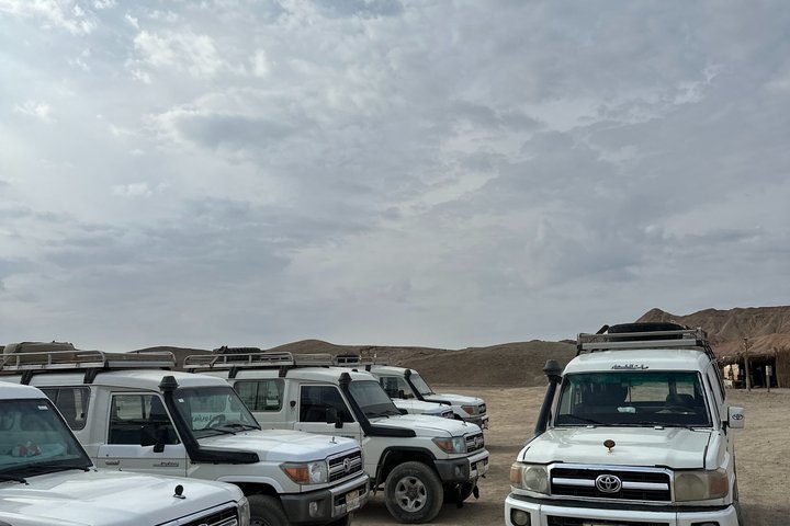 Marsa Alam Safari Sea & Dessert, Camel Ride dinner & Stargazing