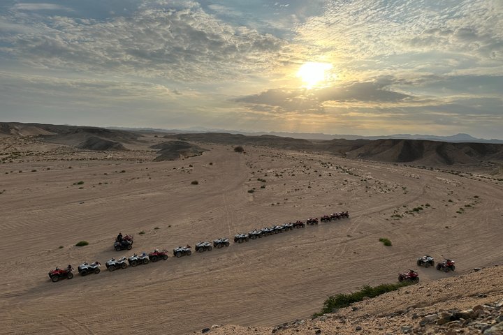 Marsa Alam Safari Sea & Dessert, Camel Ride dinner & Stargazing