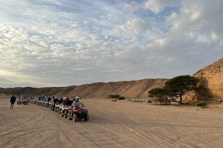 Marsa Alam Safari Sea & Dessert, Camel Ride dinner & Stargazing