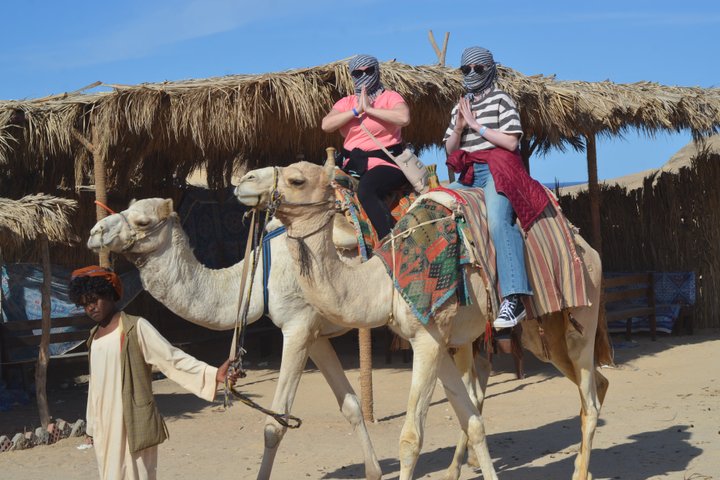 Marsa Alam Safari Sea & Dessert, Camel Ride dinner & Stargazing