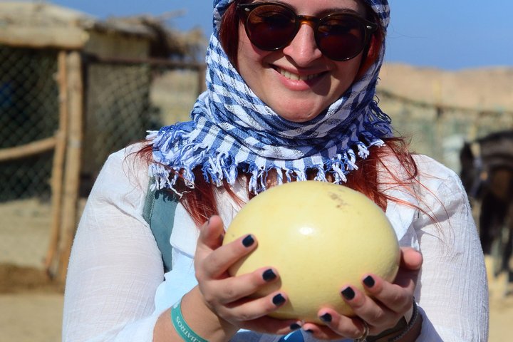 Marsa Alam Safari Sea & Dessert, Camel Ride dinner & Stargazing