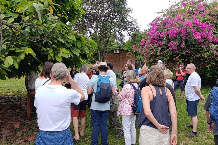 Hacienda CacaoyMango, Gastronomy, Cacao, and Chocolate Factory