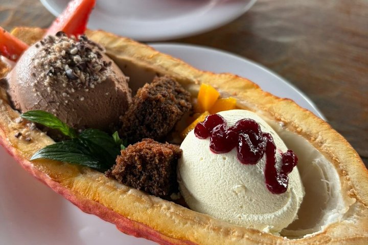 Hacienda CacaoyMango, Gastronomy, Cacao, and Chocolate Factory
