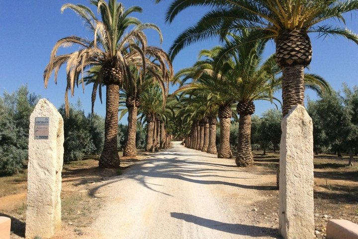 Authentic Algarve: Jeep Safari 4×4 in Tavira, Mountain and Cascades