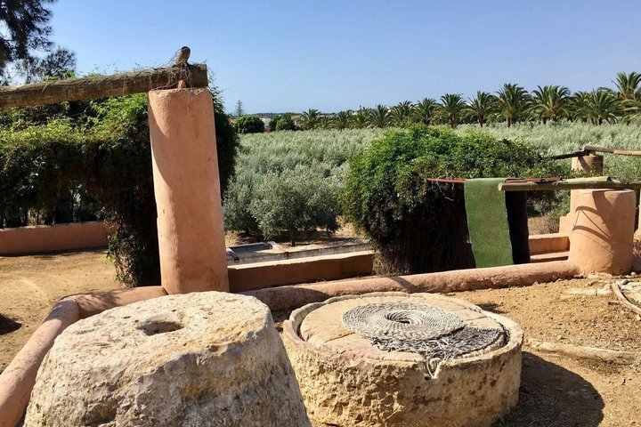 Authentic Algarve: Jeep Safari 4×4 in Tavira, Mountain and Cascades