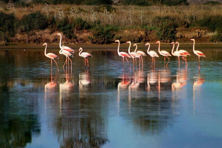 Authentic Algarve: Jeep Safari 4×4 in Tavira, Mountain and Cascades