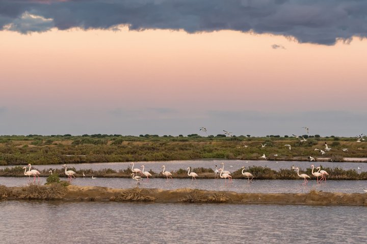 Authentic Algarve: Jeep Safari 4×4 in Tavira, Mountain and Cascades