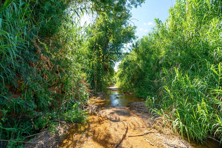 Authentic Algarve: Jeep Safari 4×4 in Tavira, Mountain and Cascades