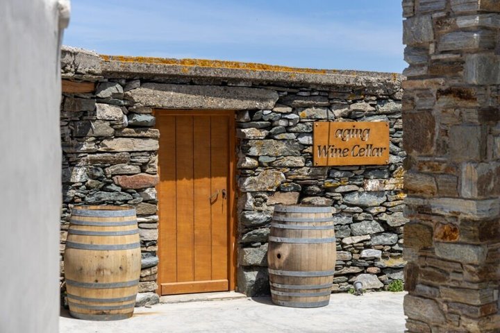 Wine Tasting in Tinos: Sea-View Terrace Tour & Sommelier Guide