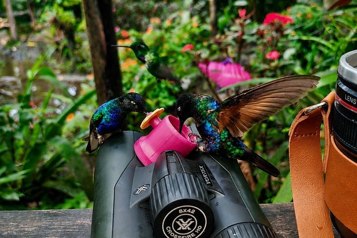 Mindo Cloud Forest Private Tour: Chocolate, Coffee, Birds, Nature