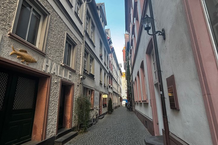 Guided tour in Mainz am Rhein in German and English