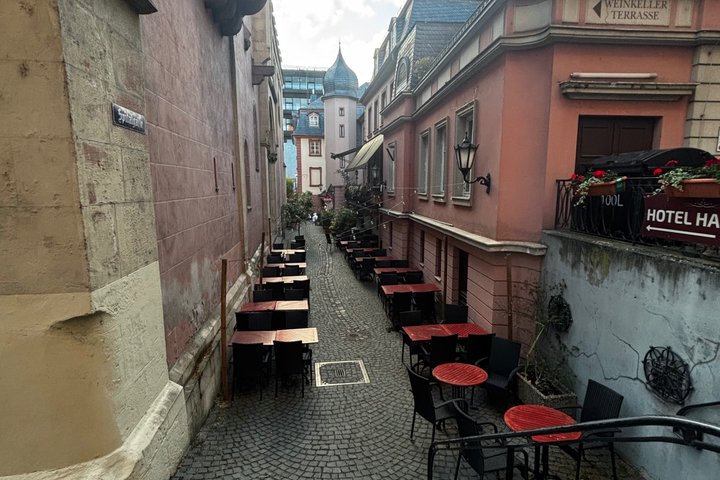Evening walking tour of Mainz Rhine bank and Old Town