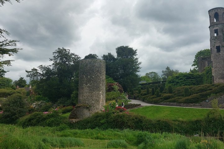 Private Castle Tour from Limerick
