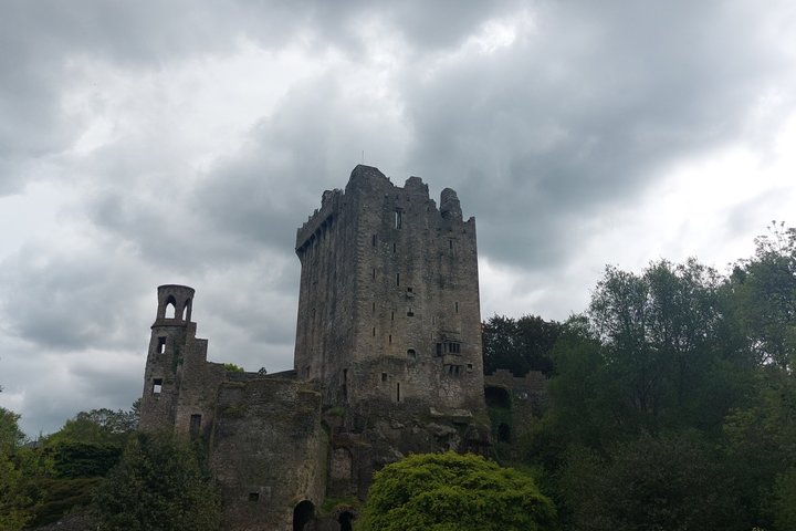 Private Castle Tour from Limerick