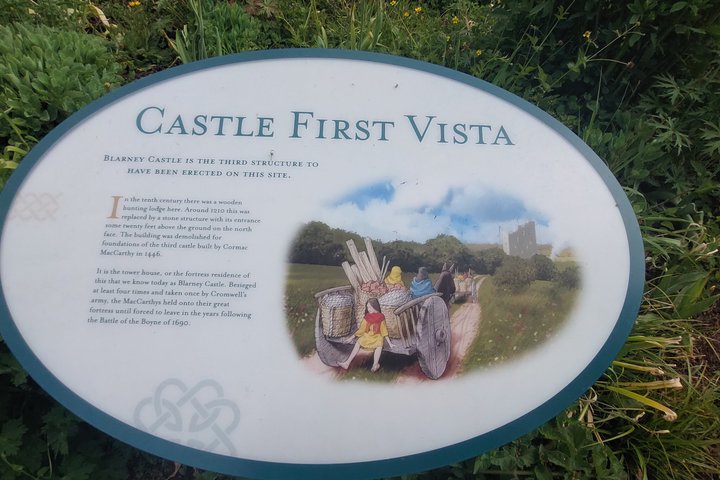 Private Castle Tour from Limerick