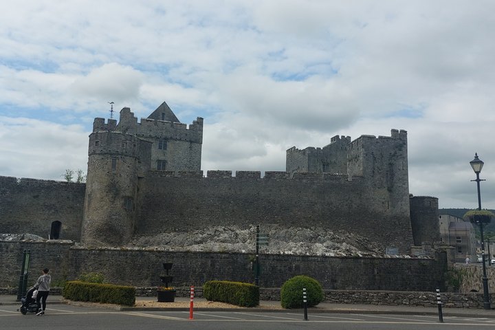 Private Castle Tour from Limerick