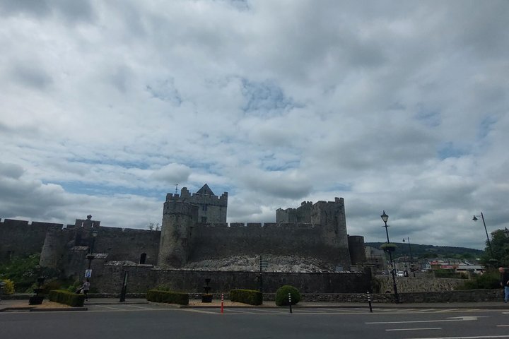 Private Castle Tour from Limerick