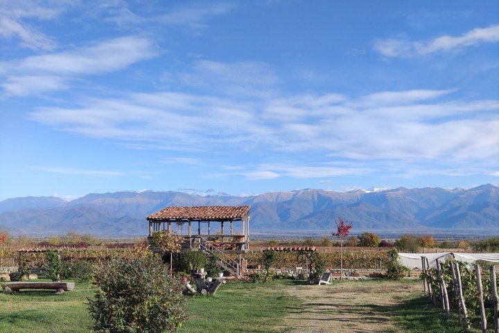 Private Kakheti Wine Tour