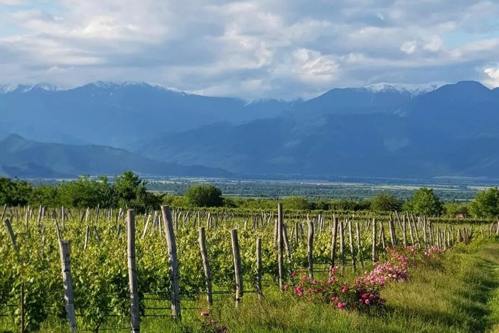 Private Kakheti Wine Tour