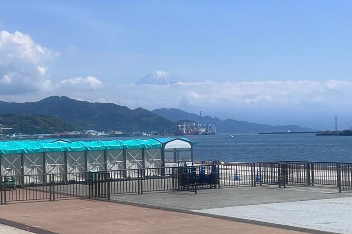 Shimizu Port Pickup: Mt. Fuji & Miho no Matsubara Tour