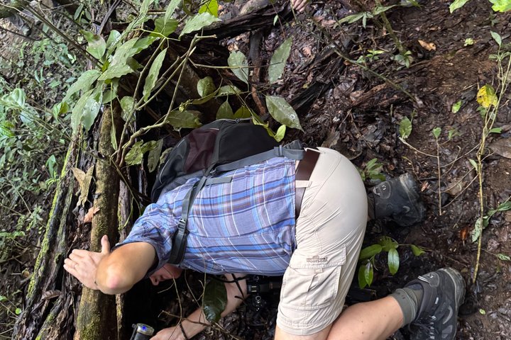 Corcovado National Park Day Tour: Guided Wildlife Walk at Sirena