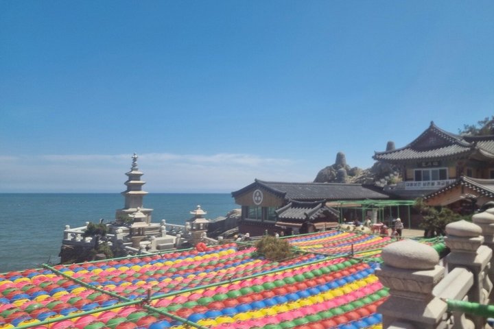 Busan- Private Tour with hidden tourist attractions