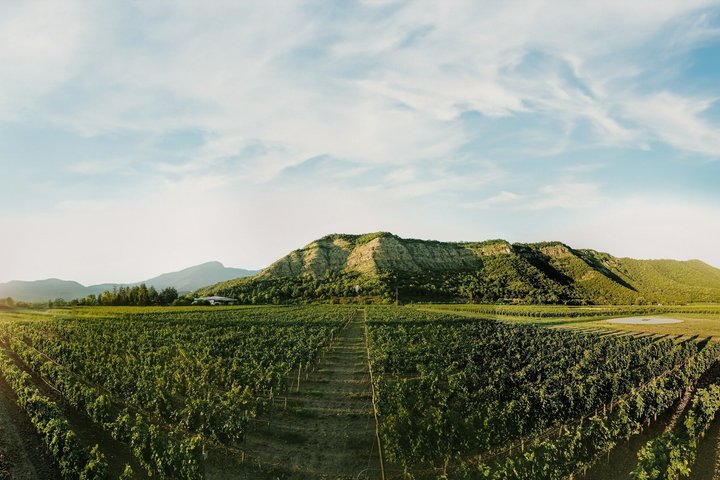 Private Kakheti Wine Tour