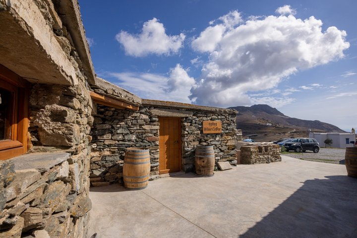 Wine Tasting in Tinos: Sea-View Terrace Tour & Sommelier Guide