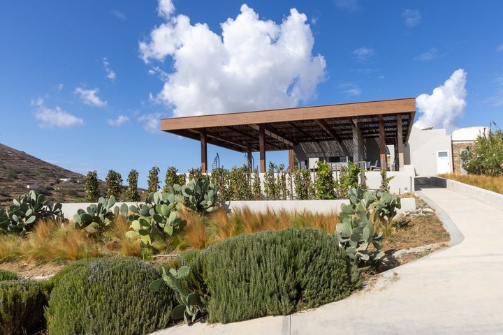 Wine Tasting in Tinos: Sea-View Terrace Tour & Sommelier Guide