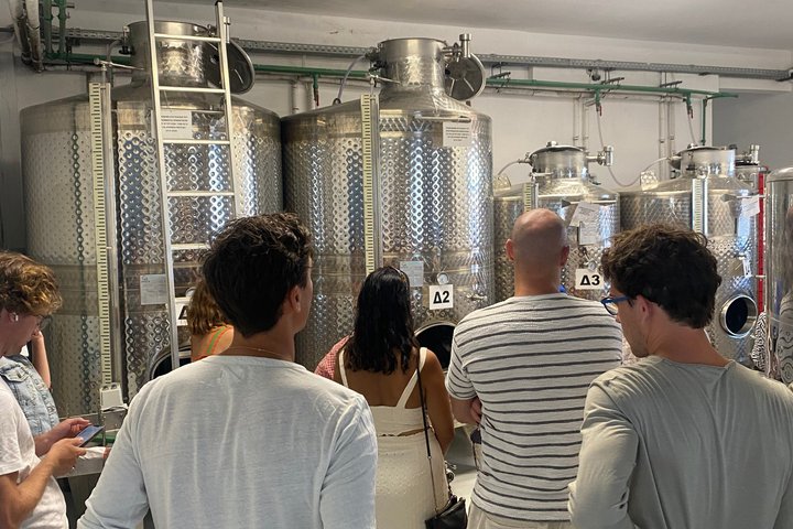 Wine Tasting in Tinos: Sea-View Terrace Tour & Sommelier Guide
