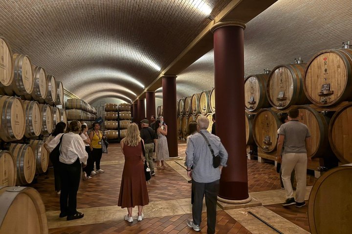 From Verona: Half-Day Valpolicella & Amarone Wine Experience