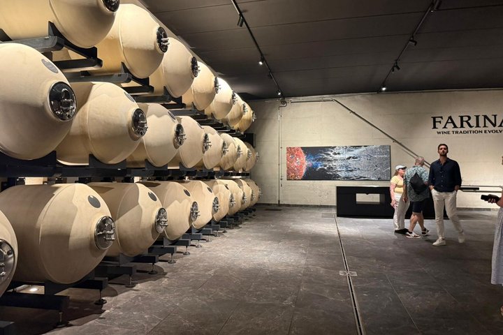 From Verona: Half-Day Valpolicella & Amarone Wine Experience