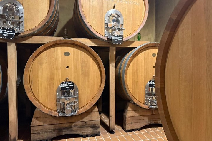 From Verona: Half-Day Valpolicella & Amarone Wine Experience