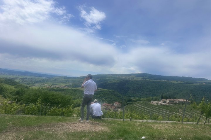 Grand tour of Valpolicella : Amarone focus, 2 Wineries and Lunch