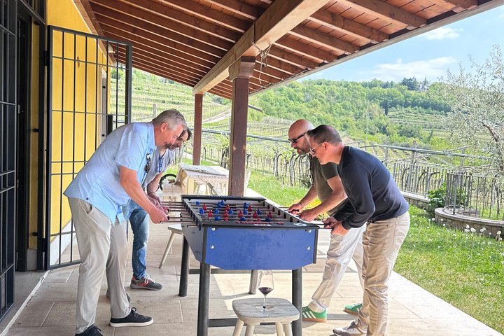 Grand tour of Valpolicella : Amarone focus, 2 Wineries and Lunch