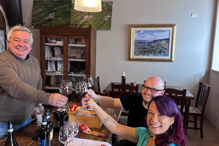 Grand tour of Valpolicella : Amarone focus, 2 Wineries and Lunch