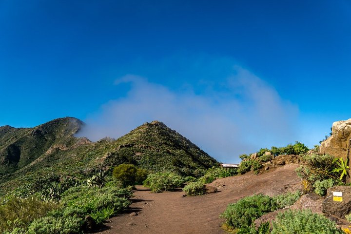 Tenerife Highlights Giants & Masca Coastal Cliffs